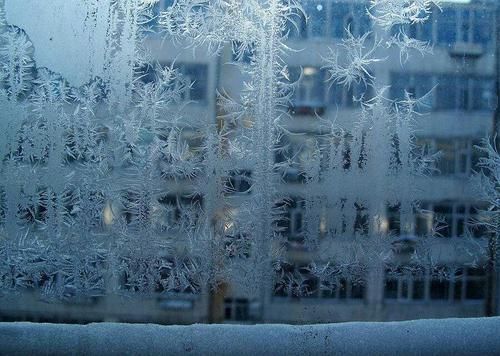 冰窗花一般在窗户的哪一侧 蚂蚁庄园冬天玻璃上形成的冰窗花在哪一侧
